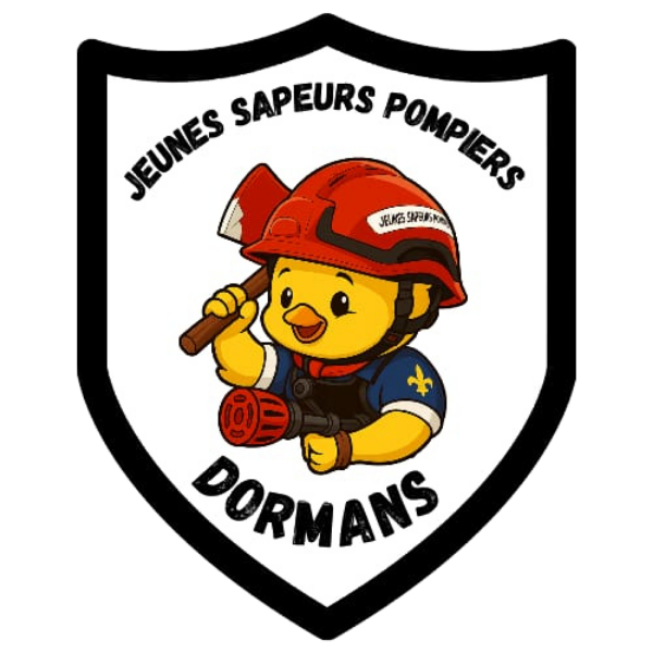 Logo de la section JSP